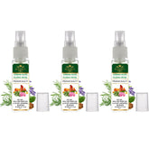 Menjewell Ambery Basil Floral Musk Eau De Parfum For Man 8ml 0.27 Fl.oz. Each Pack Of 3 | Luxury Apparel Parfum | Long Lasting